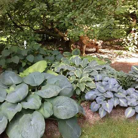 Herberts Stubn Pensión 4*