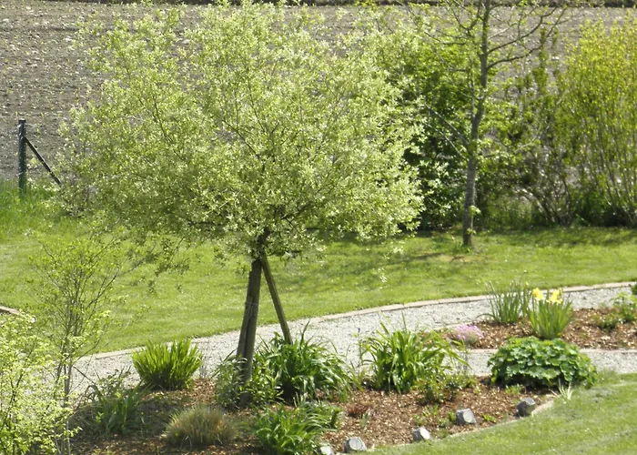 Herberts Stubn فيلدكيرتشين باي غراتس