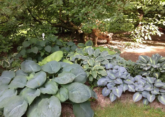 Herberts Stubn Pensionat 4*